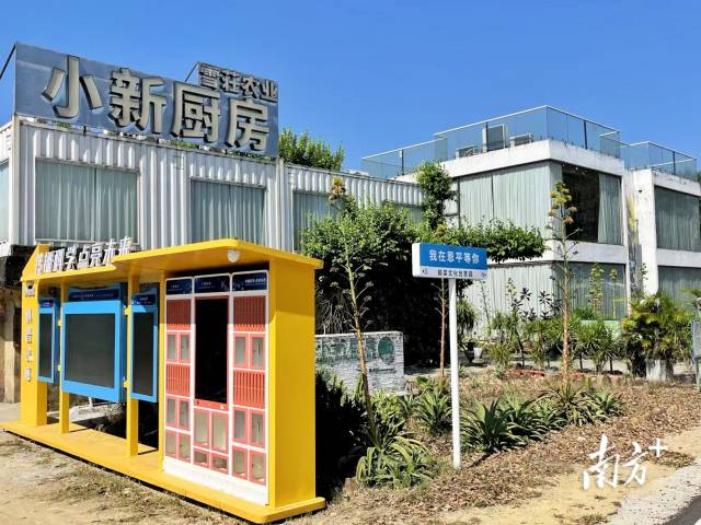 米倉(cāng)村內(nèi),恩平市簕菜文化創(chuàng)意園中,民宿、研學(xué)、集市等文旅項(xiàng)目建設(shè)如火如荼地進(jìn)行中。 南方+ 黃燁倩 拍攝